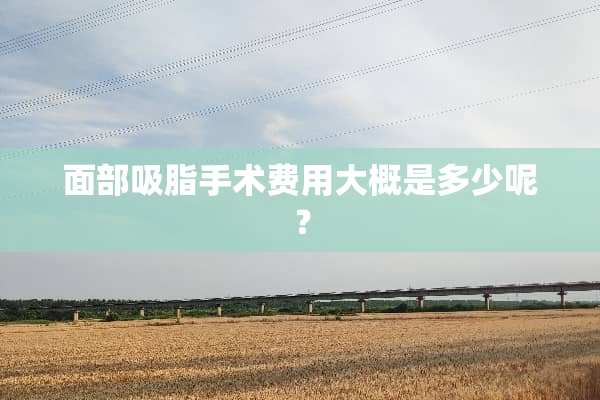 面部吸脂手术费用大概是多少呢？