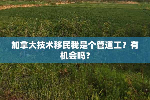加拿大技术移民我是个管道工？有机会吗？