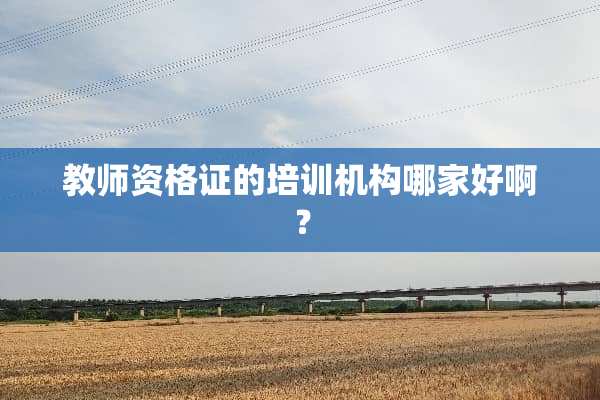 教师资格证的培训机构哪家好啊？