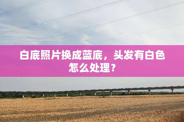 白底照片换成蓝底，头发有白色怎么处理？