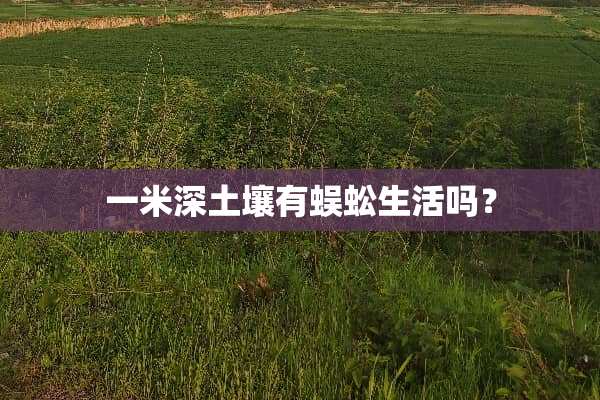 一米深土壤有蜈蚣生活吗？