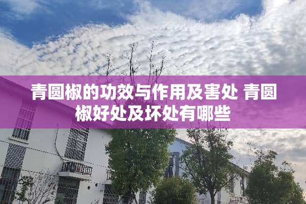 青圆椒的功效与作用及害处 青圆椒好处及坏处有哪些