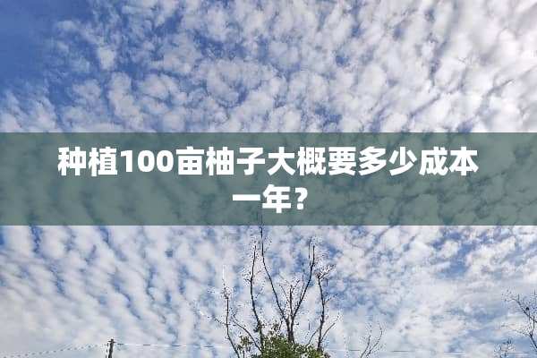 种植100亩柚子大概要多少成本一年？