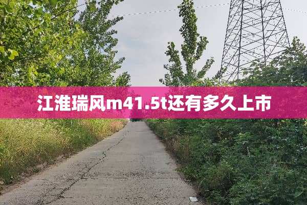 江淮瑞风m41.5t还有多久上市