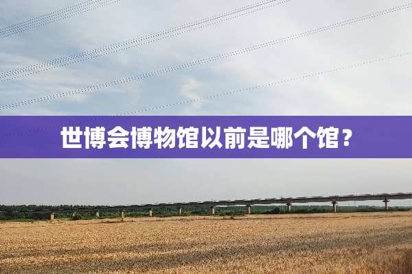 世博会博物馆以前是哪个馆？