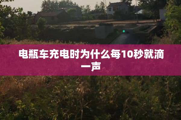 电瓶车充电时为什么每10秒就滴一声