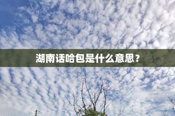 湖南话哈包是什么意思？