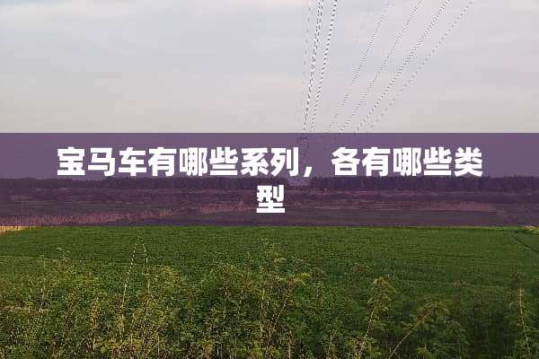 宝马车有哪些系列，各有哪些类型