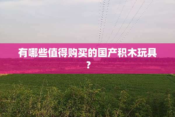 有哪些值得购买的国产积木玩具？