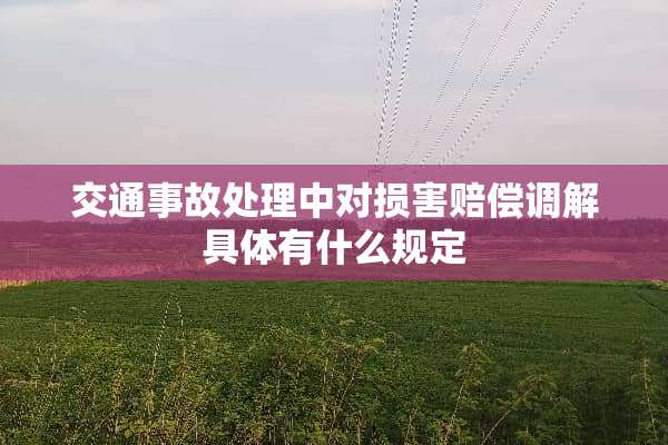 交通事故处理中对损害赔偿调解具体有什么规定