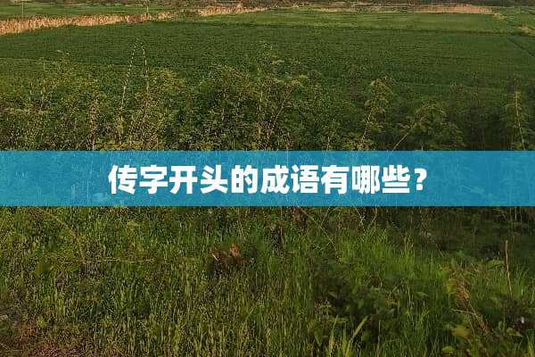 传字开头的成语有哪些？