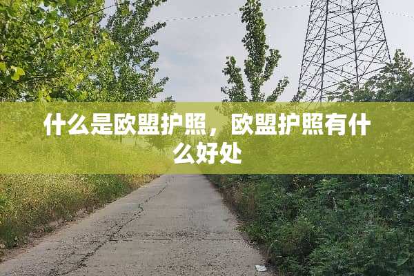 什么是欧盟护照，欧盟护照有什么好处
