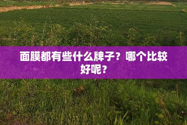 面膜都有些什么牌子？哪个比较好呢？