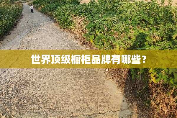 世界**橱柜品牌有哪些？