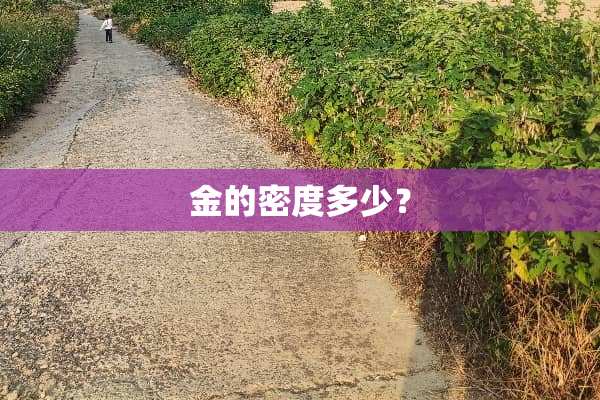 金的密度多少？