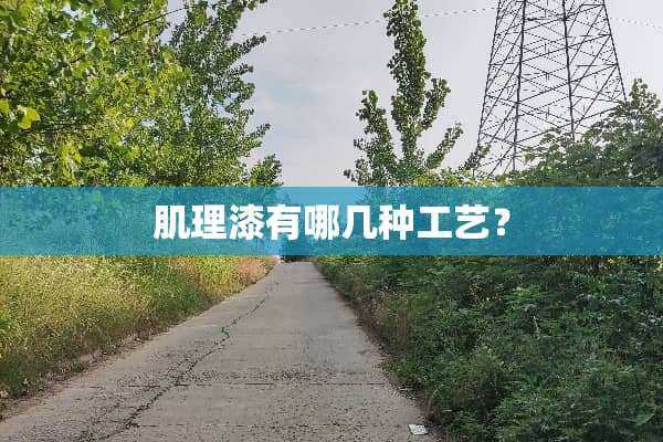 肌理漆有哪几种工艺？