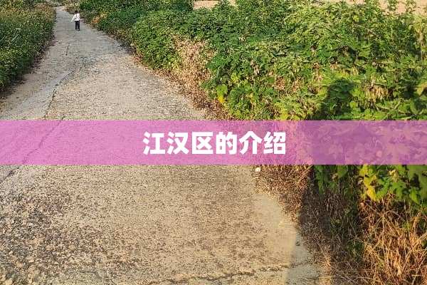 江汉区的介绍
