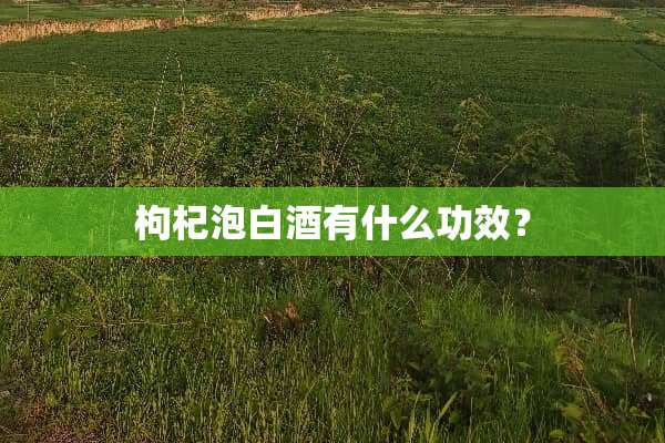 枸杞泡白酒有什么功效？