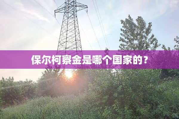 保尔柯察金是哪个国家的？