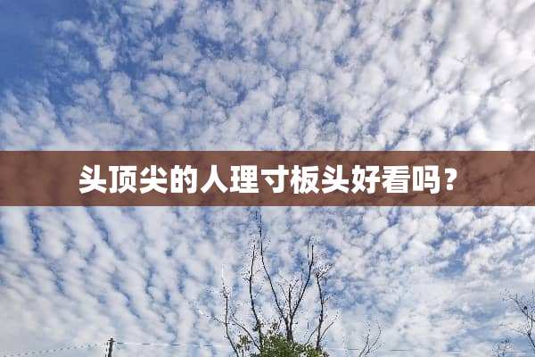 头顶尖的人理寸板头好看吗？