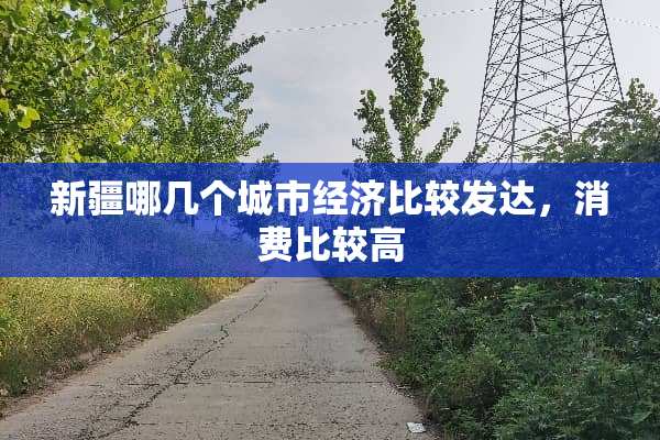新疆哪几个城市经济比较发达，消费比较高