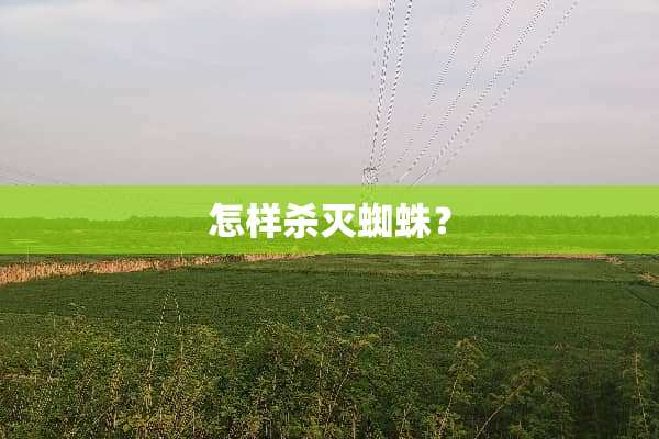 怎样杀灭蜘蛛？