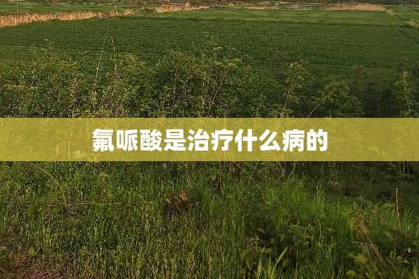 氟哌酸是治疗什么病的