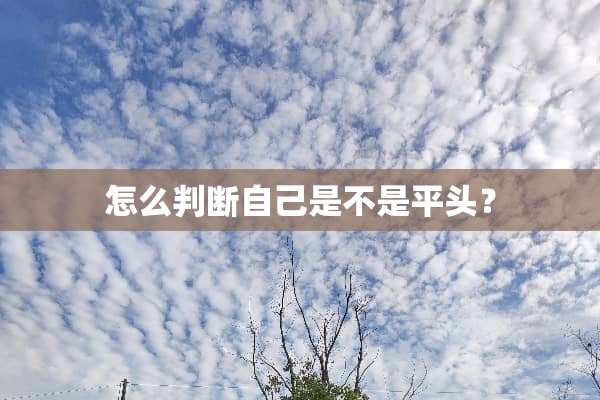 怎么判断自己是不是平头？