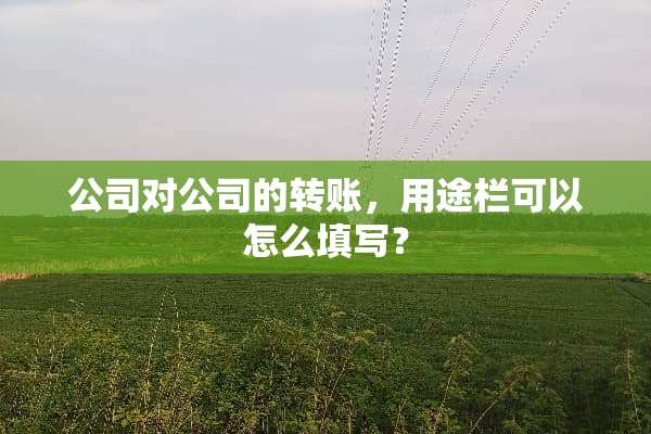 公司对公司的转账，用途栏可以怎么填写？
