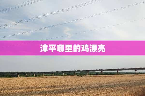 漳平哪里的鸡漂亮