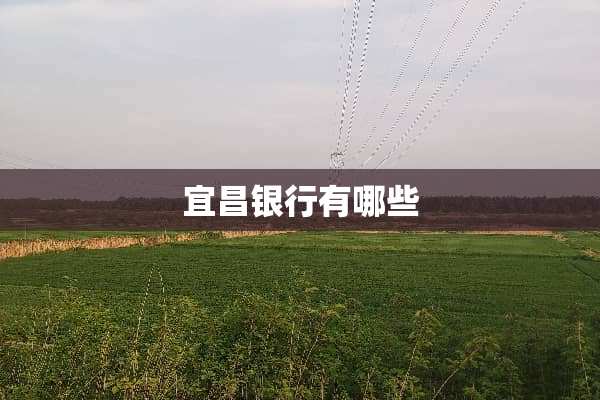 宜昌银行有哪些