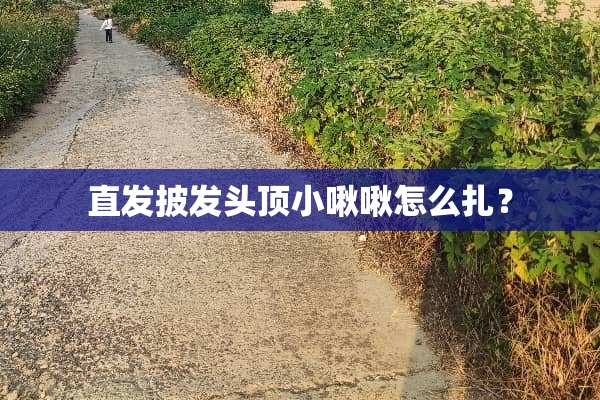 直发披发头顶小啾啾怎么扎？