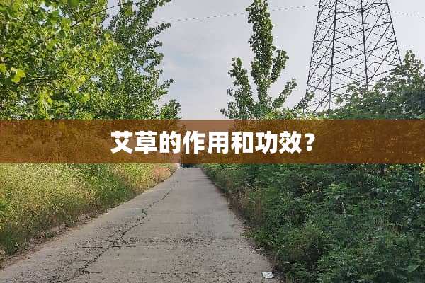 艾草的作用和功效？