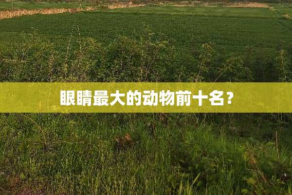 眼睛最大的动物前十名？