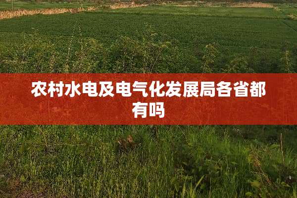 农村水电及电气化发展局各省都有吗