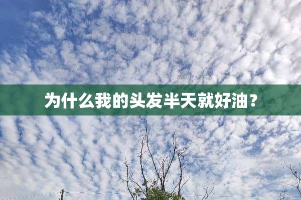 为什么我的头发半天就好油？