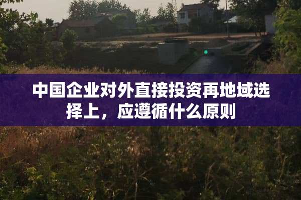 中国企业对外直接投资再地域选择上，应遵循什么原则