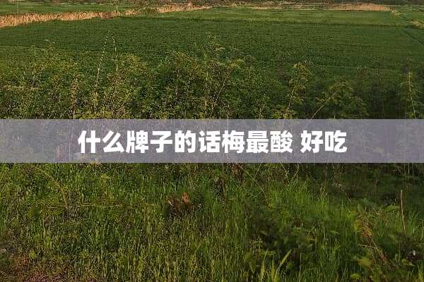 什么牌子的话梅最酸 好吃