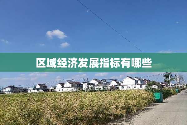 区域经济发展指标有哪些