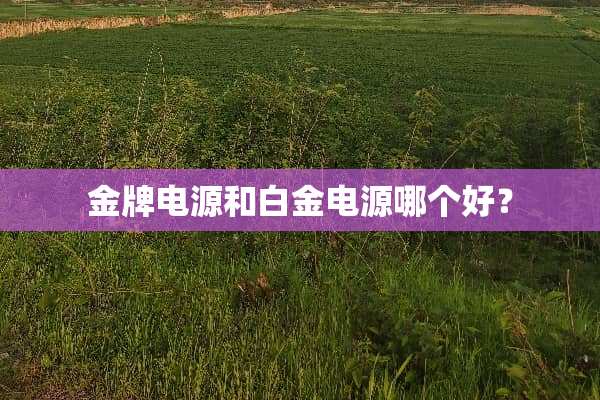 金牌电源和白金电源哪个好？