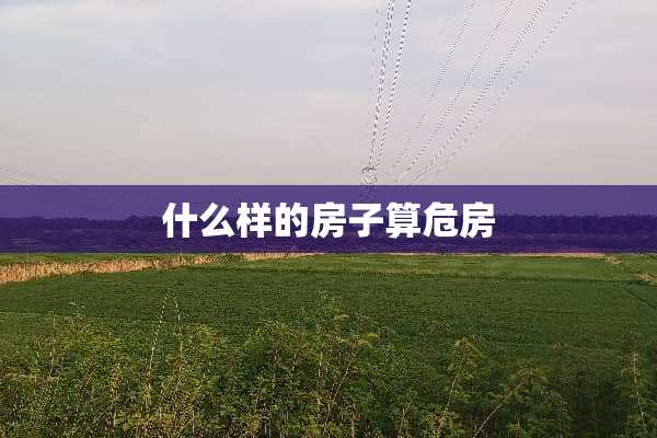 什么样的房子算危房
