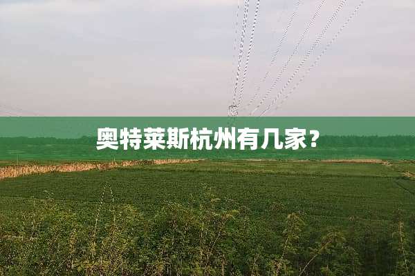 奥特莱斯杭州有几家？