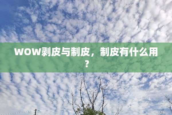 WOW剥皮与制皮，制皮有什么用？