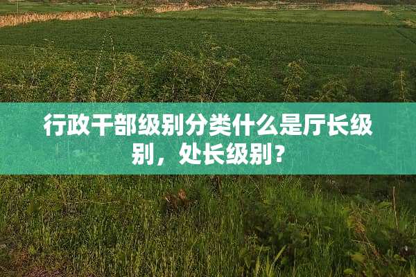 行政干部级别分类什么是厅长级别，处长级别？