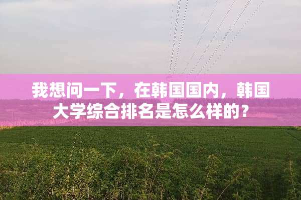 我想问一下，在韩国国内，韩国大学综合排名是怎么样的？