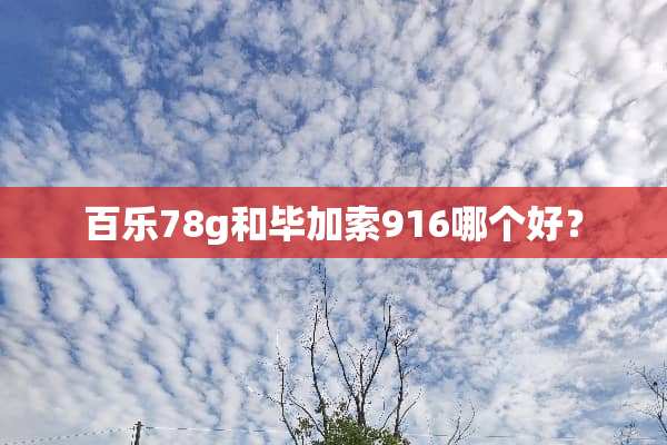 百乐78g和毕加索916哪个好？