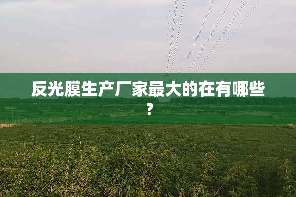 反光膜生产厂家最大的在有哪些？
