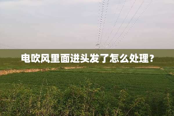 电吹风里面进头发了怎么处理？