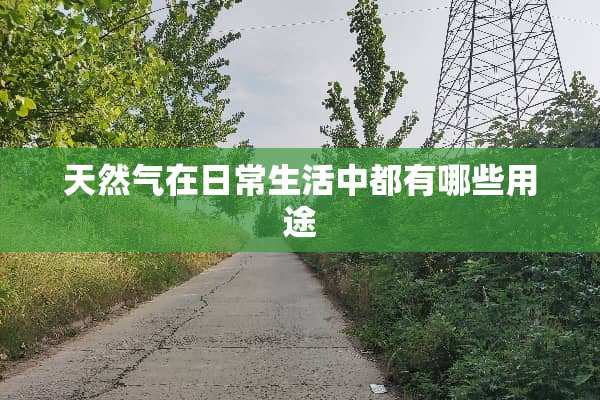 天然气在日常生活中都有哪些用途