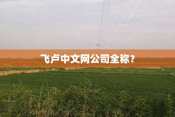 飞卢中文网公司全称？